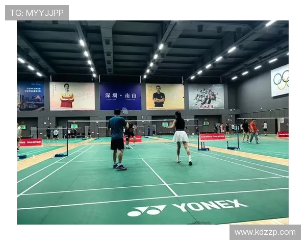 深圳羽毛球队的节奏解析与深度剖析探寻羽毛球运动的魅力与团队精神